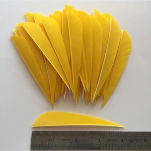 50PCS 4 Inch Yellow Parabolic Vanes Fletches Feather Fletching Feathers RW LW - Picture 1 of 6