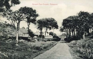 PRINTED POSTCARD OF GARADH-NAN-CRAUBH, ISLE OF COLONSAY, ARGYLLSHIRE, SCOTLAND - Picture 1 of 2