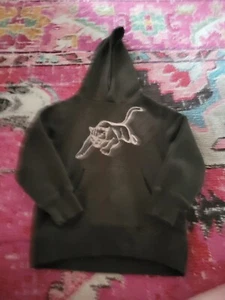 Boys size XS 3/4 brown pullover hoodie jaguer panther pounching Big Cat Gymboree - Picture 1 of 2