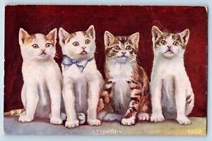 Animals Postcard Cute Cat Kittens Tiger Hair Attention c1910's Unposted Antique