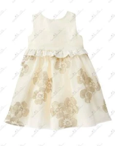 NWT Gymboree Savanna Party Floral Embroidered Dress Size 3T 4T 5T TODDLER GIRLS - Picture 1 of 1
