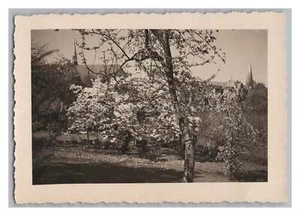 Lübeck 1934 - Frühling - altes Foto 1930er - Picture 1 of 2