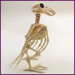 Crazy Bone Skelett Rabe Kunststoff Tier Skelett Knochen Horror Halloween - Bild 1 von 24