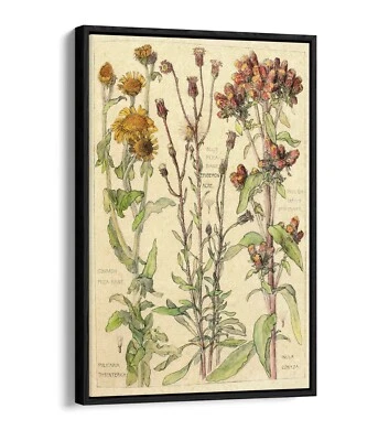 VINTAGE BOTANICAL FLOWER ILLUSTRATIONS HOME FLOAT EFFECT CANVAS WALL ART PRINT - image 1 of 4