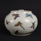3.8'' Qing Dynasty Tongzhi Famille Rose Porcelain Butterfly Pattern Jar Pot