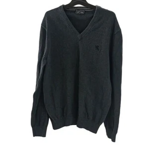 Express Mens L Sweater Dark Gray V Neck Long Sleeve Pullover Classic Knit - Picture 1 of 6