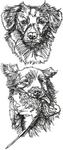 Nova Scotia Retriever Hund personalisieren bestickt Fleece Stadiondecke Geschenk - Bild 1 von 4