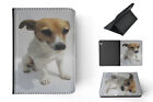 Case Cover For Apple Ipad|jack Russell Dog 21