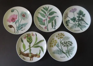 5 Shafford Vintage 7 1/2" Herb Plates - Mint - Picture 1 of 9