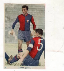 FIGURINA CALCIATORI da ritaglio GENOA  LEONI   NR 88  album s.e.s.s.1959-60 - Picture 1 of 1