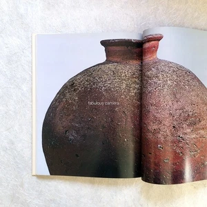 SHIGARAKI Ware Japanese Ceramics Art Tea Bowls Pottery Antique Vases - Bild 1 von 12