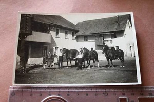 gran foto antigua - familia con sus caballos - caballos potros - Imagen 1 de 4
