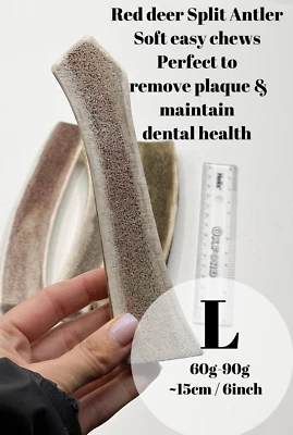 ANTLER CHEW WHOLESALE LTD Large Split Wild Antler Horn Dog Chew Soft Chew Plaque Remover Dental Dog Chew