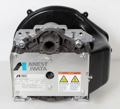 Cabezal de bomba compresor de desplazamiento seco sin aceite ANEST IWATA SL-140EB Foto 1 de 4