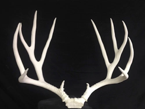 Unfinished 230" mule deer replica ,TAXIDERMY log cabin decor - Image 1 of 3