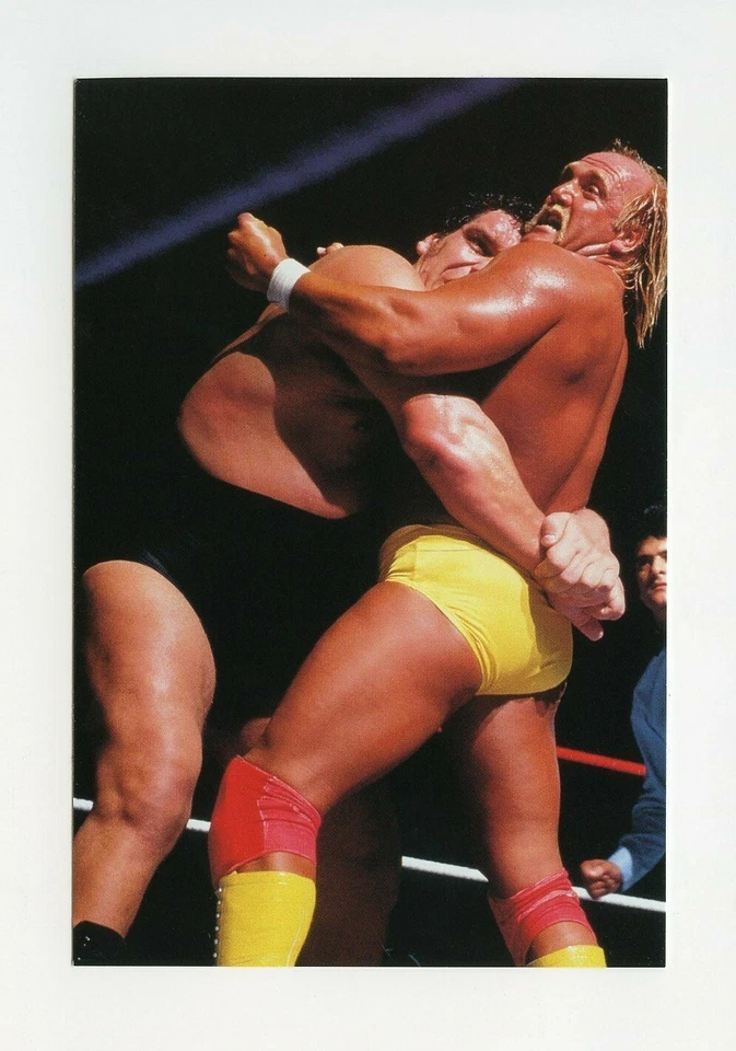 #TN07622 HULK HOGAN VS. ANDRE THE GIANT w/TED DIBIASE & VIRGIL 1999 WWF Card - Image 1 of 1