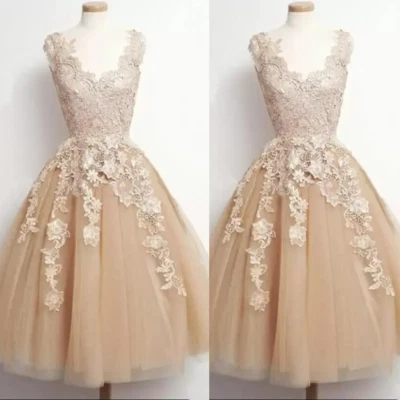 Elegant Champagne Wedding Dresses V Neck Lace Appliques Knee Length Bridal Gowns - Image 1 of 4