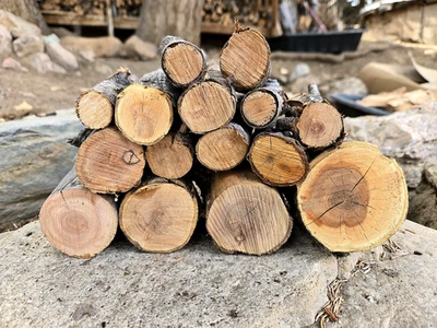 10 LBS Apple Wood For Smoking Organic 1~3"D 5~8”L Sticks Logs BBQ Fire Grill Art - Изображение 1 из 4