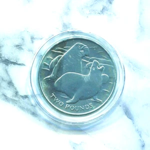 SOUTH GEORGIA & SANDWICH ISLDS - SPECTACULAR RARE TITANIUM 2 POUNDS, 2017, KM#88 - Picture 1 of 6