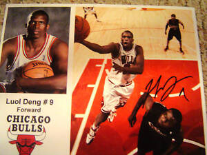 LUOL DENG Autographed Signed BULLS 8x10 Photo 