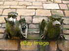 Photo 6x4 Hello, hello York/SE5951 Two gargoyles looking down on you in  c2007