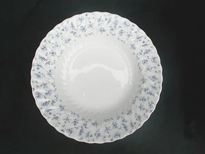 Wedgwood WINDRUSH. Rimmed Soup Plate. Diameter 8 5/8 ins. 22 cms - Picture 1 of 3