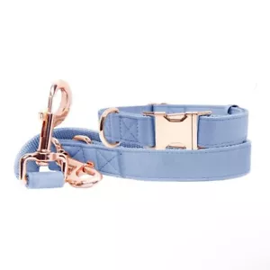 Faux Leather Small Dog Collar/Leash • Heavy Duty Rose Metal Buckle • 12.2"-16.9" - Picture 1 of 6