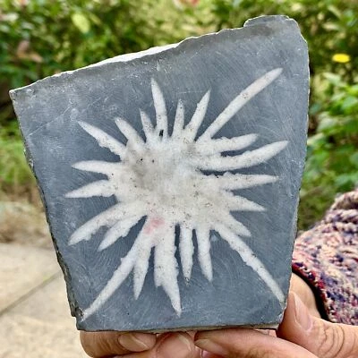 418G Natural Chrysanthemum Stone Quartz Carving Halo Treatment Gift - Image 1 of 4