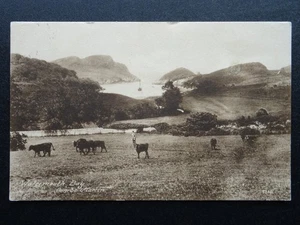 Devon WATERMOUTH BAY Combe Martin c1920s Postcard by H.M. Jarvis - Picture 1 of 2