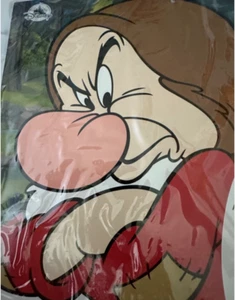 NEU Disney GRUMPY Schneewittchen Kostüm Neu mit Etikett - Bild 1 von 7