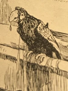 1926 - POPPY OTT AND THE STUTTERING PARROT - Leo Edwards - Hardcover - Book - Picture 1 of 11