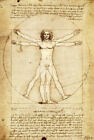 Внешний вид - Leonardo Da Vinci Vitruvian Man Art Poster Print - 24" X 36"