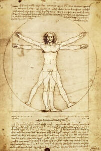 Leonardo Da Vinci Vitruvian Man Art Poster Print - 24" X 36"