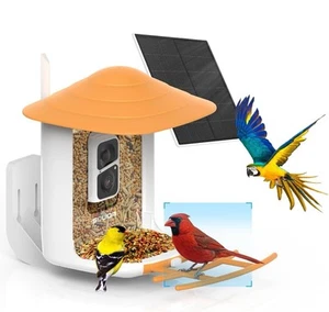 SOLIOM BF09 Smart Bird Feeder with Camera Wireless Outdoor Solar Included Open - Picture 1 of 5