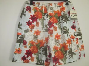 CREMIEUX BEACyHWEAR MULTI COLOR BOARDSHORTS TRUNKS SZ L NEW with TAG - Picture 1 of 9