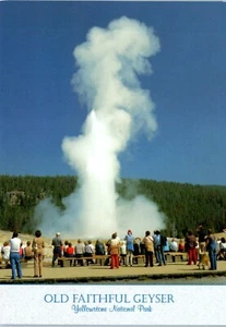 Old Faithful Geyser Yellowstone National Park Postcard - Picture 1 of 2