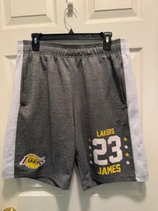 Los Angeles Lakers Men Activewear Shorts Large Gray Lebron James 23 - Picture 1 of 6