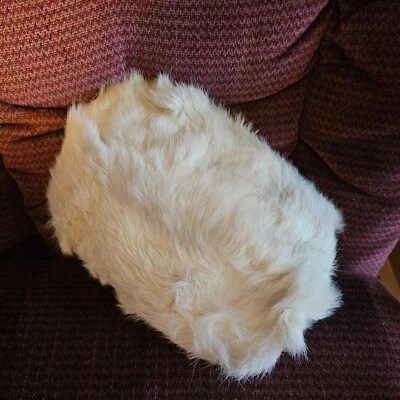 批量 女孩 复古 兔子 白色毛皮套装 钱包、松饼、头带  — 第 1/4 张图片