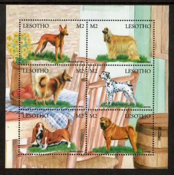 Lesoto 1999 - Perros mascotas - Hoja de 6 estampillas - Scott #1173 - MNH Foto 1 de 1