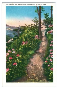 Postal de ruta de senderismo en el Parque Nacional Shenandoah Virginia - Imagen 1 de 2