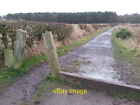 Photo 6x4 Bridleway through Carr House Plantation to Murton Bridge Hetton c2014