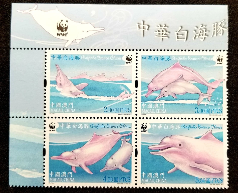 *ENVÍO GRATUITO Macao WWF Chinese White Dolphin 2017 Marine Life (título del sello) MNH Foto 1 de 4
