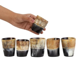 Real Ox Horn Shot Glass Set of 6 , Mini Drinking Horns for Toasting Vikings - Picture 1 of 4