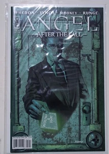 ANGEL AFTER THE FALL. Issue #12. Cover B by Nick Runge. Never Read. - Picture 1 of 1
