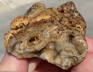 2,1 Unzen Lake Superior Achat einzigartige botryoidale Kaltwasser Spitzengeode LSA - Bild 1 von 18