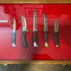 Vitrina de cuchillos puntas de flecha 24 x 18 roble madera maciza EE. UU. Pin medalla caja de sombra - Imagen 1 de 9