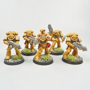 Imperial Fists Primaris Intercessors x5 Painted Warhammer 40k Army Space Marines - Picture 1 of 5