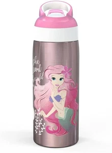 Disney Princess 19 Unzen Edelstahl Doppelwand Wasserflasche - Zak Designs (NEU) - Bild 1 von 3