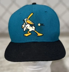 De Colección Myrtle Beach Pelicans New Era Gorra Gorra Atlanta Braves MiLB Hecha en EE. UU. SnapBack - Imagen 1 de 12