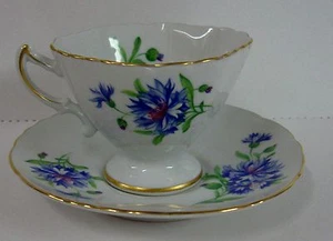 Rossetti MEADOW BELLE Cup and Saucer Set  BEST More Available - Picture 1 of 3